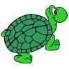 turtle28.jpg